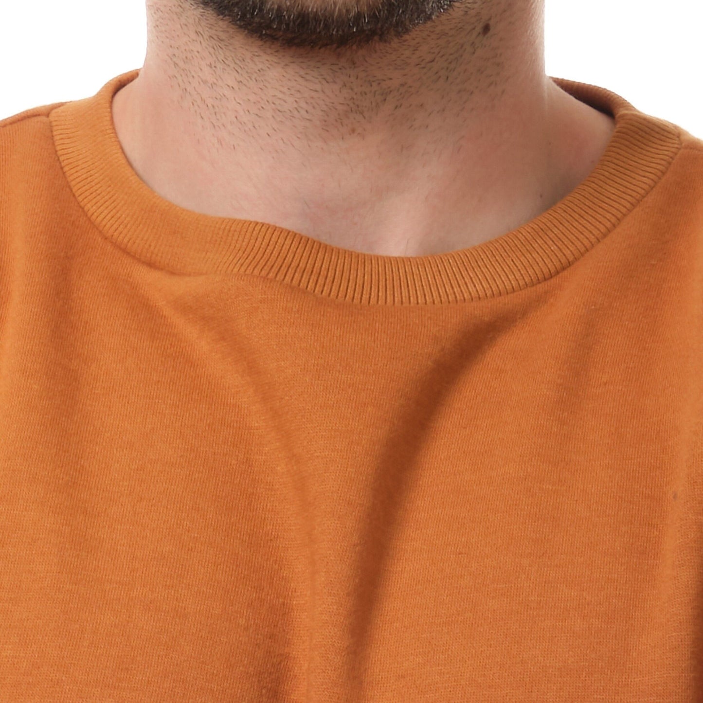 Felpa uomo girocollo beige AVALANCHE