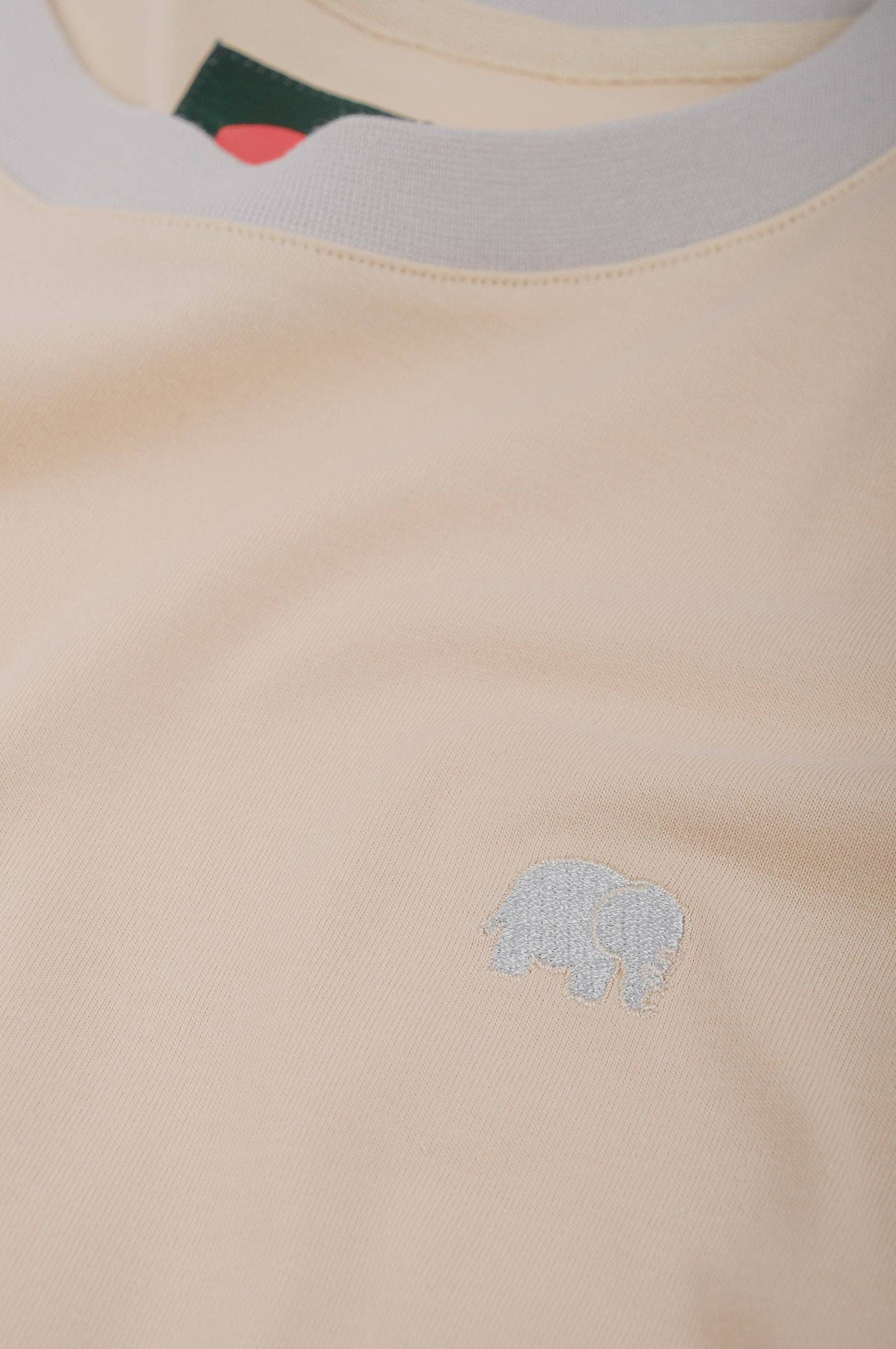 T-shirt uomo color block in cotone organico