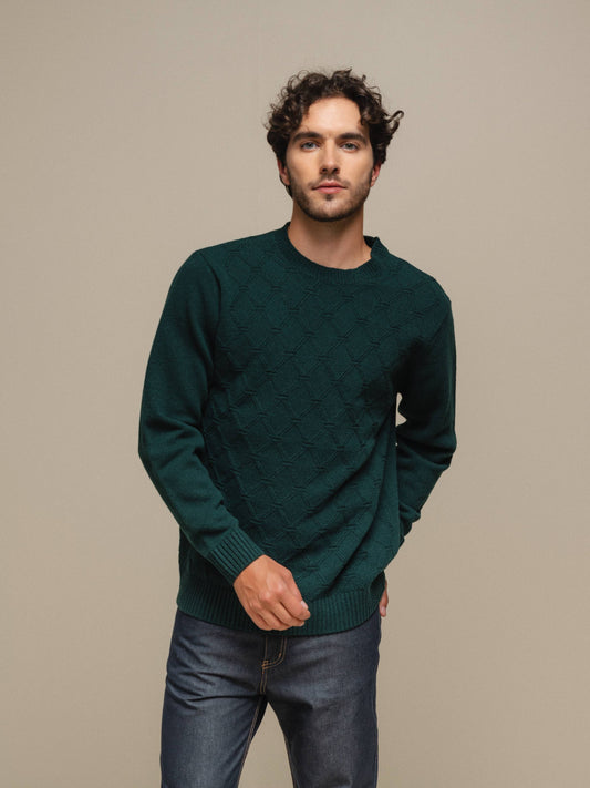 Maglione girocollo in cotone con motivo jacquard