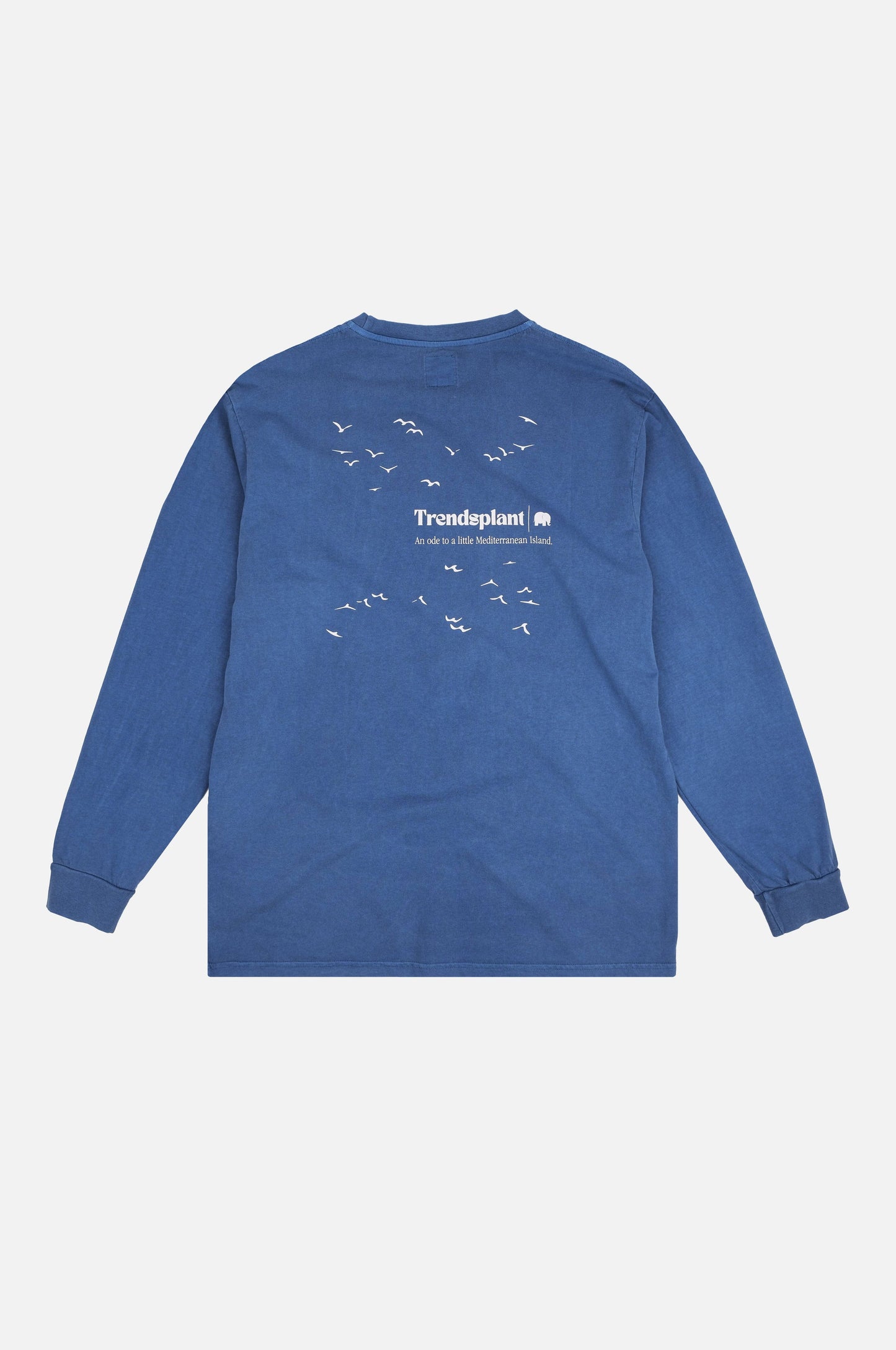 Maglia a maniche lunghe pigmentata blu Tidepool