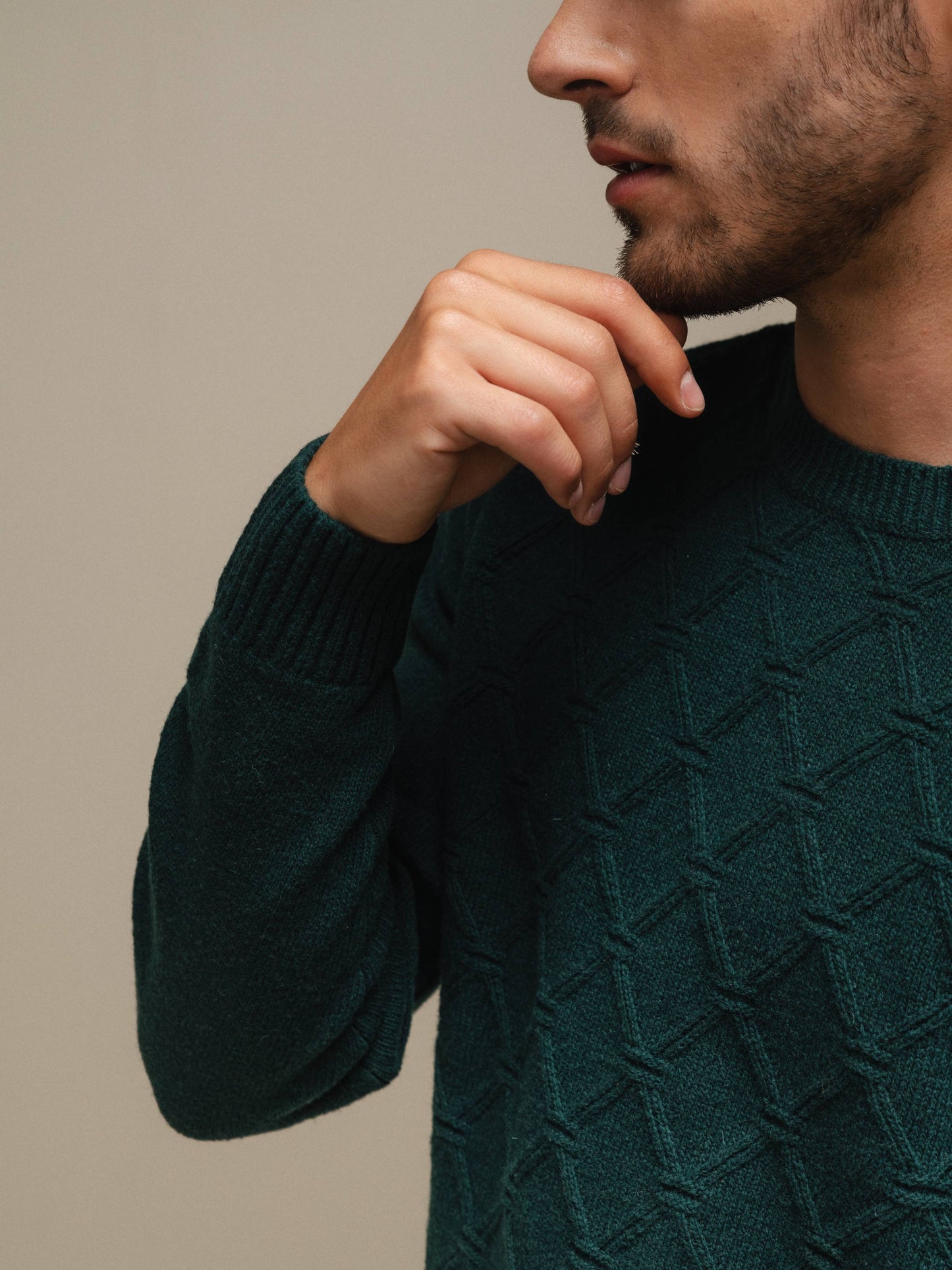 Maglione girocollo in cotone con motivo jacquard