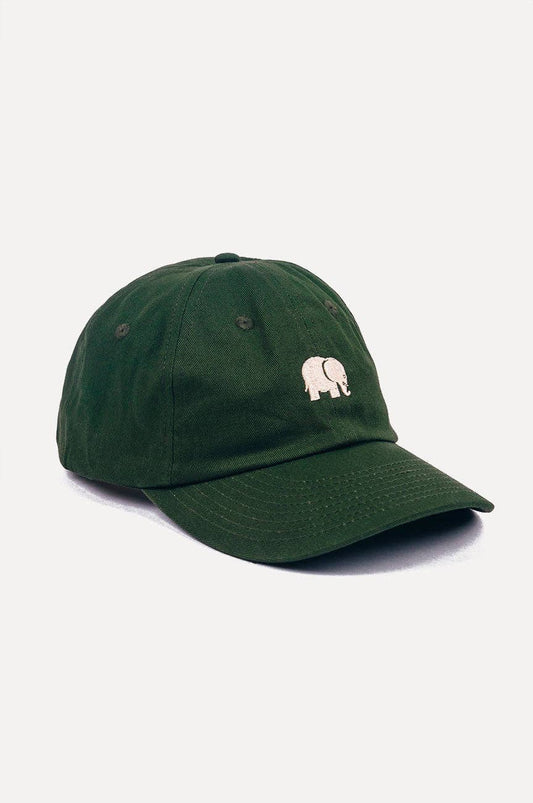 Cappello dad verde Kombu con logo ricamato