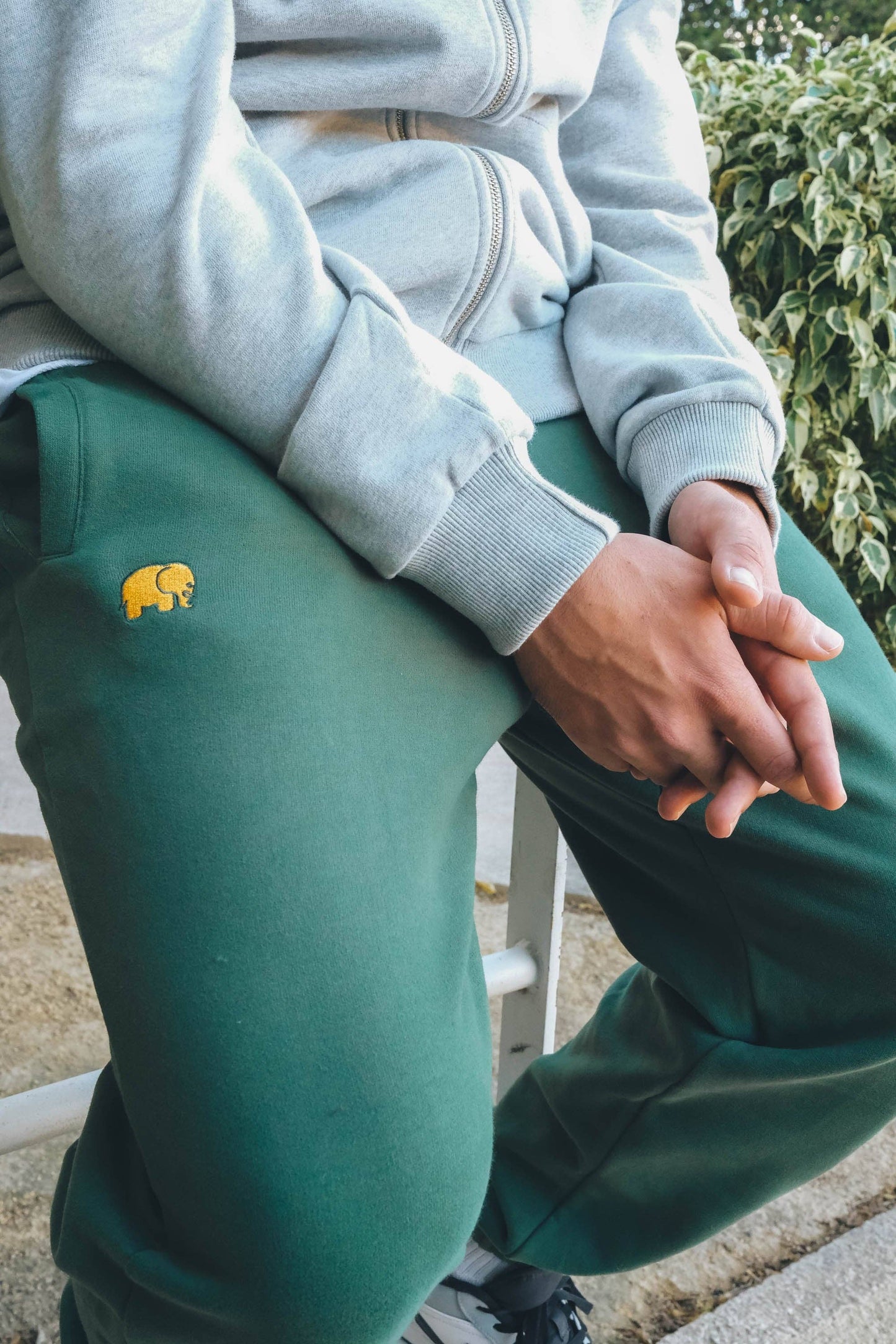 Pantaloni jogger in cotone biologico Essential Greener Pastures