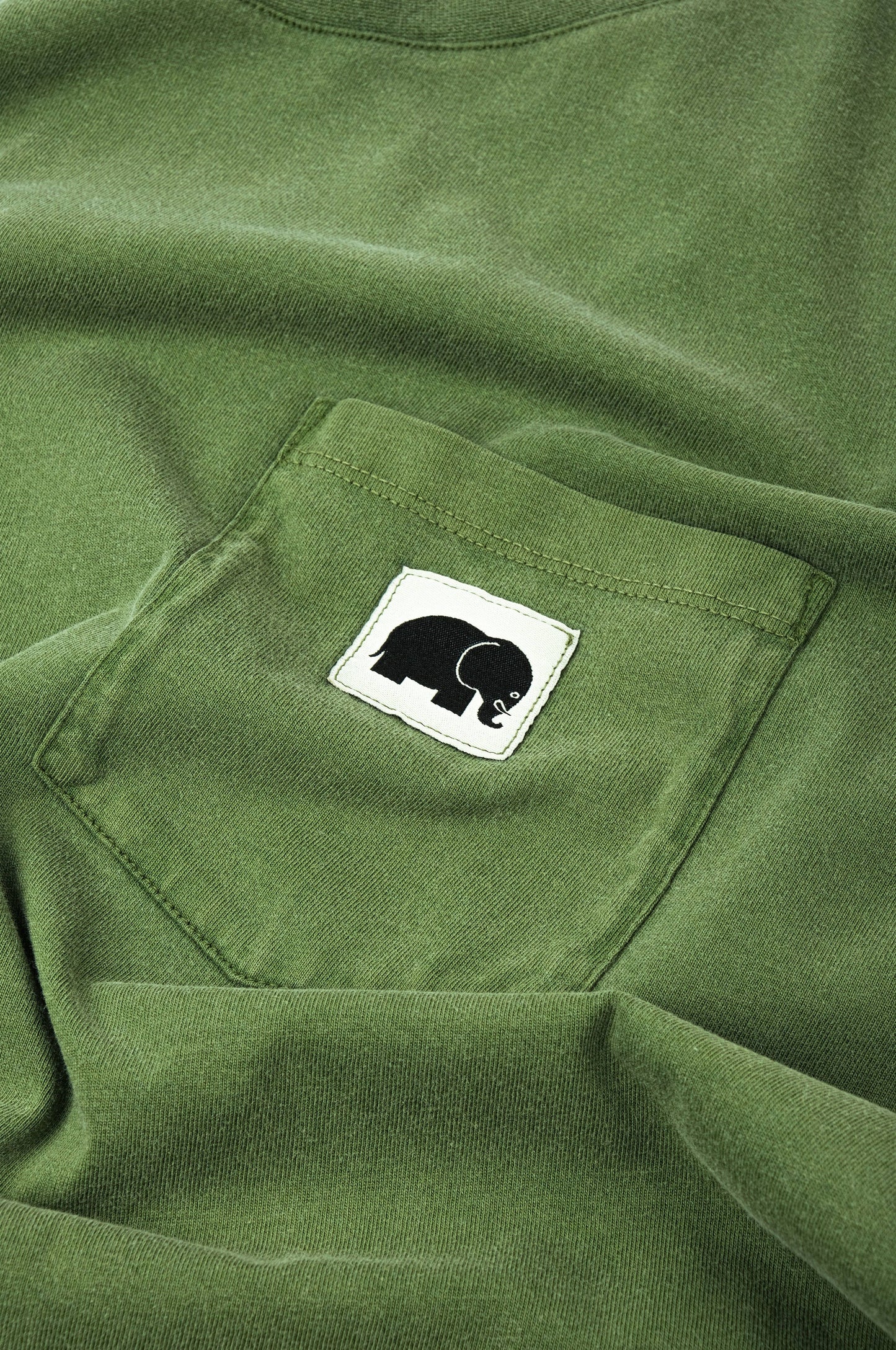 T-shirt pigmentata Phoenix Pinnas verde