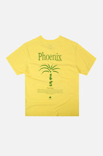 T-shirt pigmentata Phoenix gialla