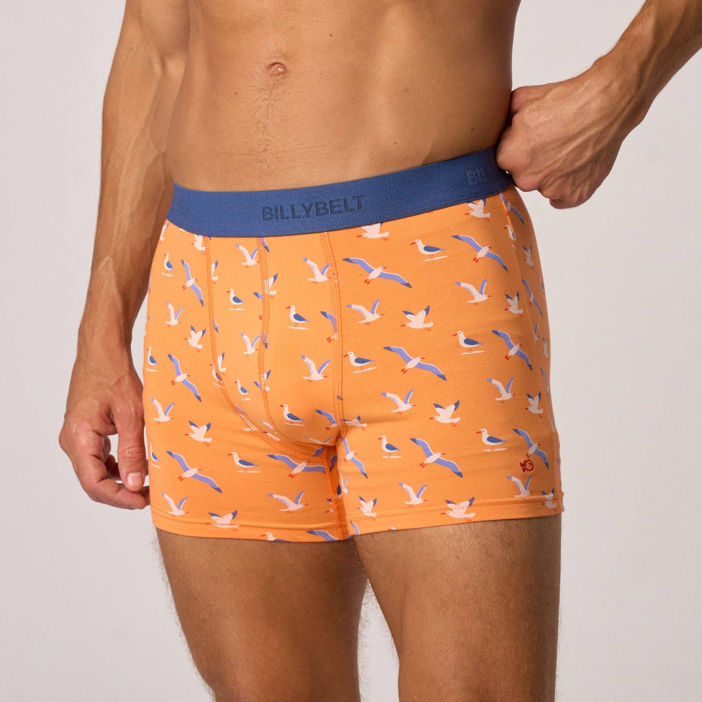 Boxer in cotone biologico con stampa gabbiani
