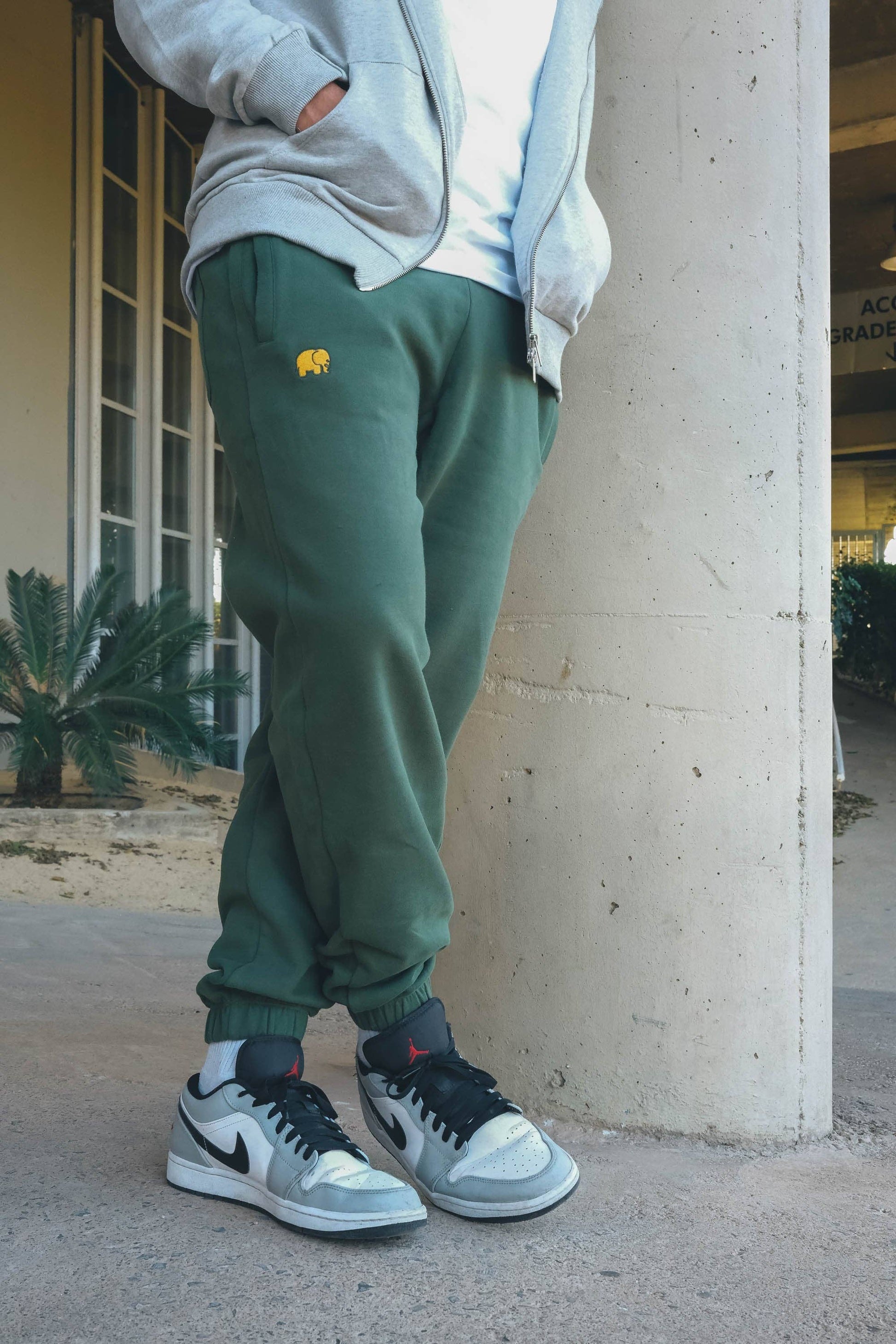 Pantaloni jogger in cotone biologico Essential Greener Pastures