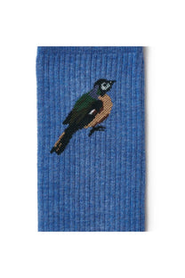 Calzini con uccello Museo del Prado in cotone organico