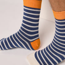 Calzini a righe in cotone pettinato blu e grigio