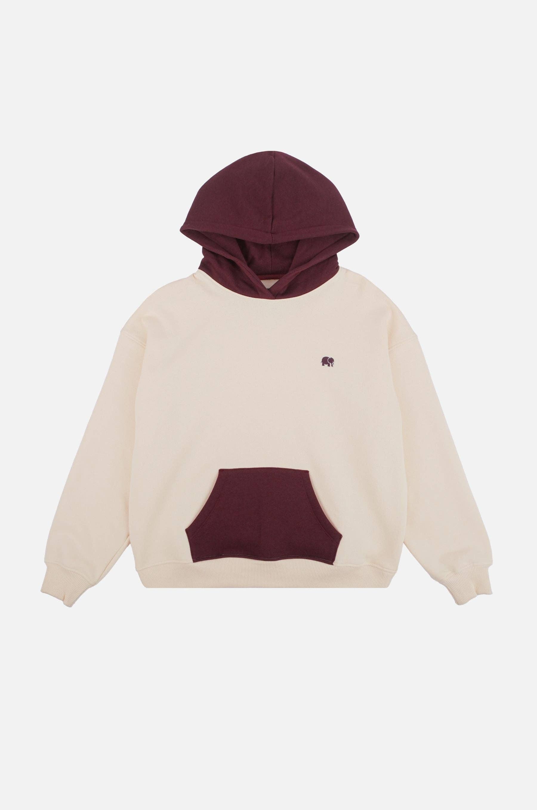 Felpa oversize con cappuccio color block Pale Glow da donna