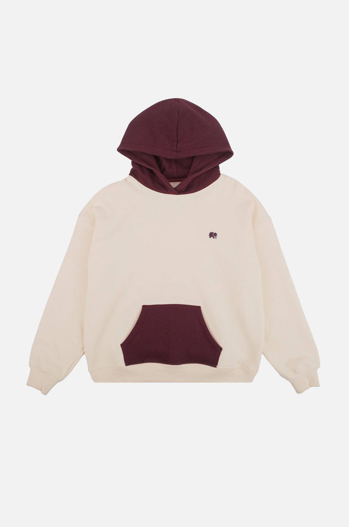 Felpa oversize con cappuccio color block Pale Glow da donna