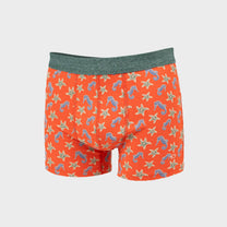 Boxer in cotone biologico con stampa cavallucci marini