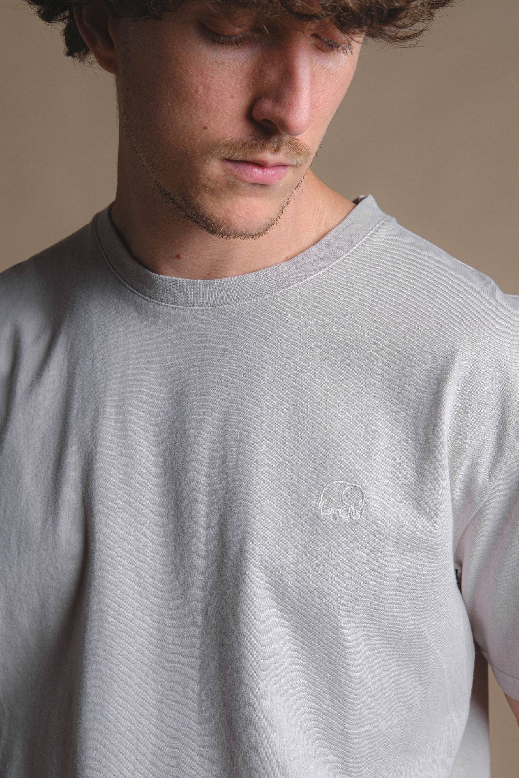 T-shirt Essentials pigmentata grigio fossile in cotone organico