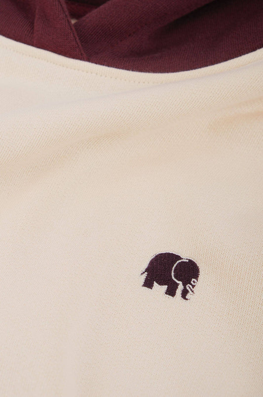 Felpa oversize con cappuccio color block Pale Glow da donna