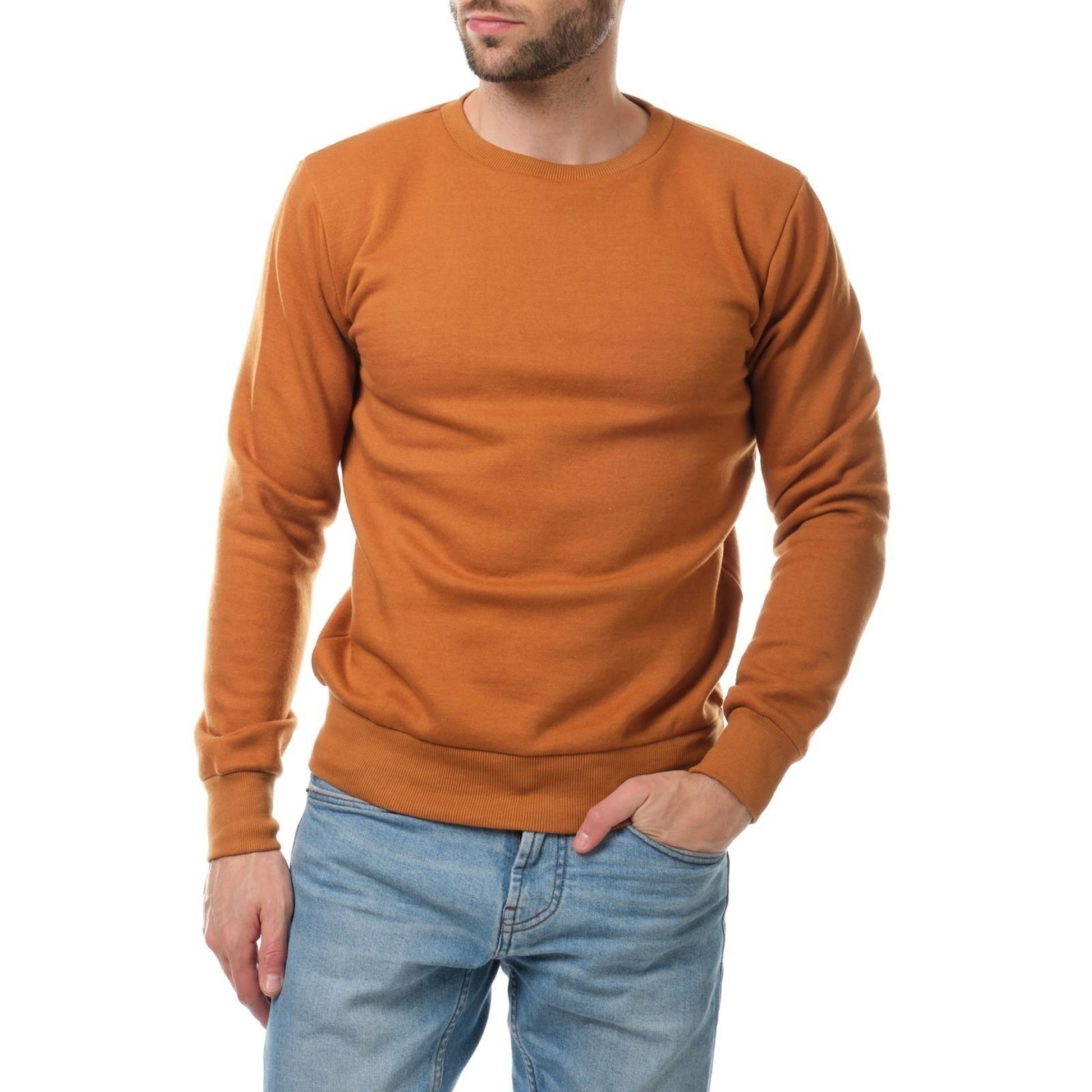 Felpa uomo girocollo beige AVALANCHE