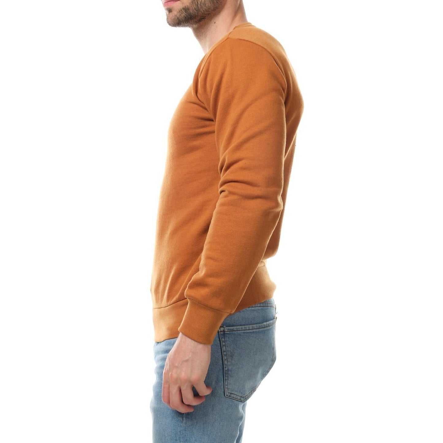 Felpa uomo girocollo beige AVALANCHE
