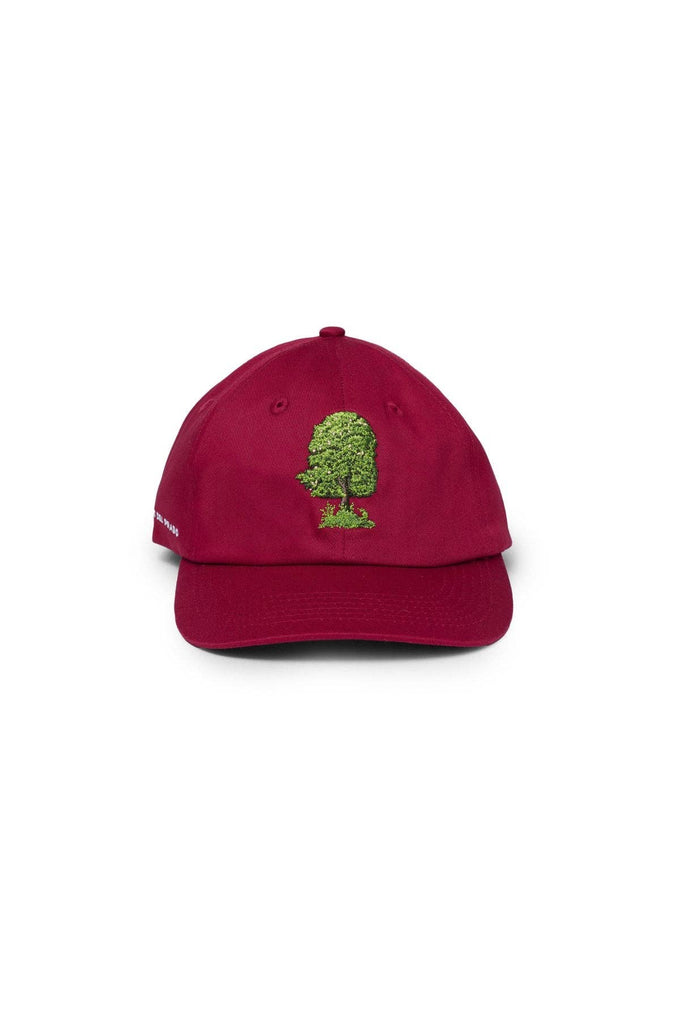 Cappellino Tree Museo del Prado in cotone biologico
