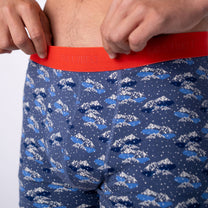 Boxer da uomo in cotone biologico con stampa montagna