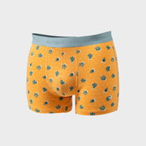 Boxer Saguaro in cotone biologico