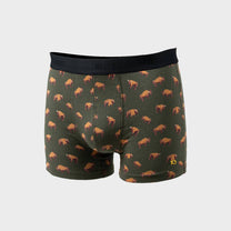 Boxer in cotone biologico Buffalo Green