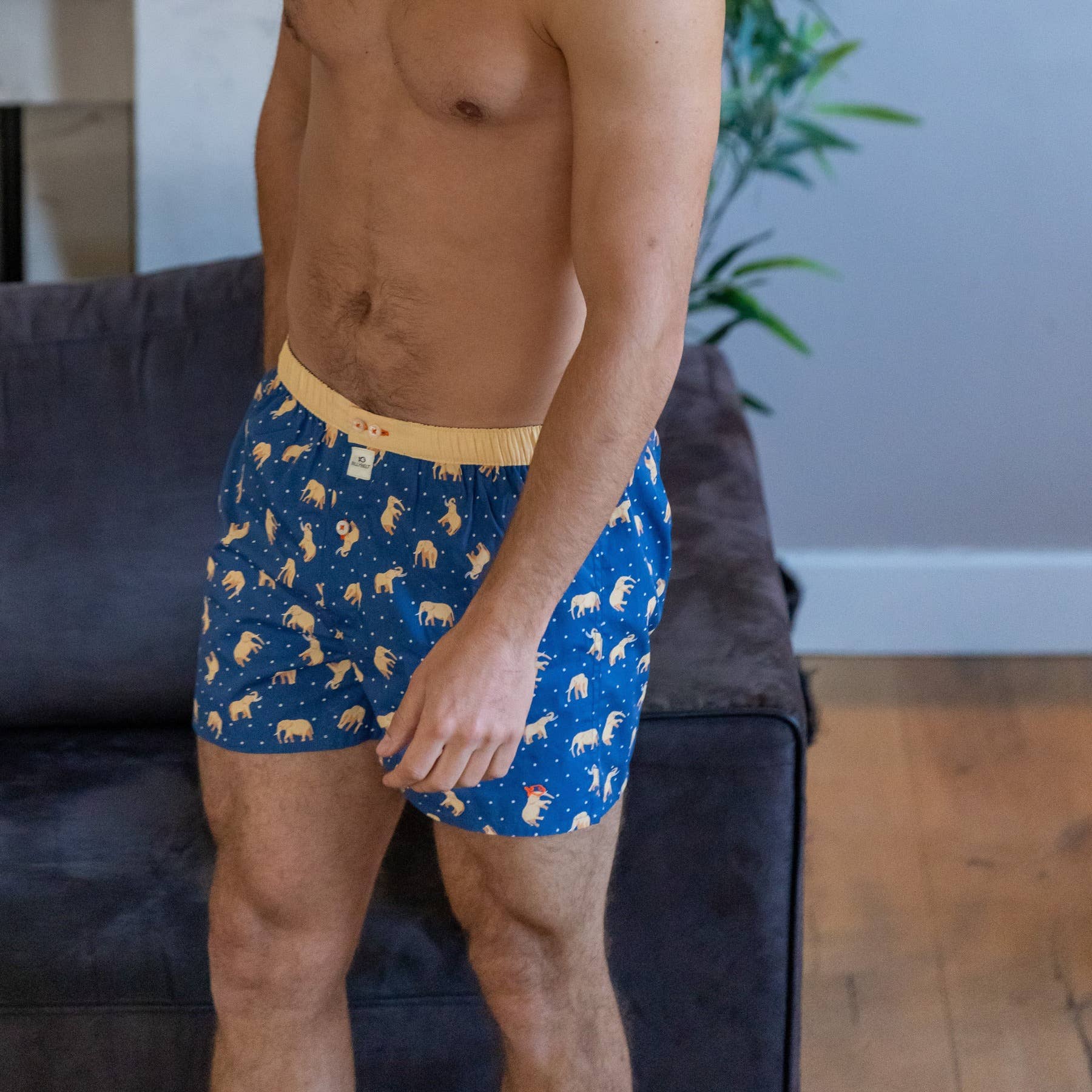 Boxer in cotone organico con stampa elefanti