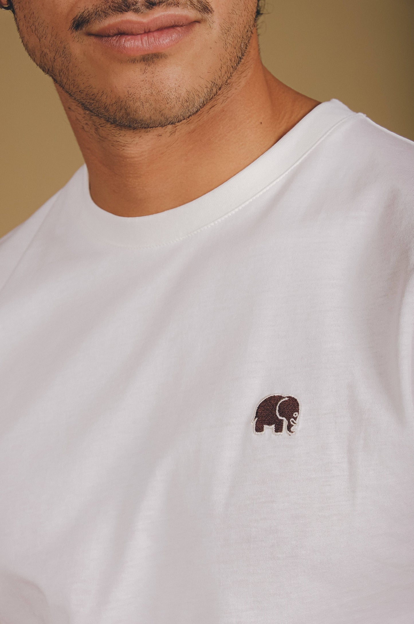 T-shirt essenziale in cotone biologico color naturale