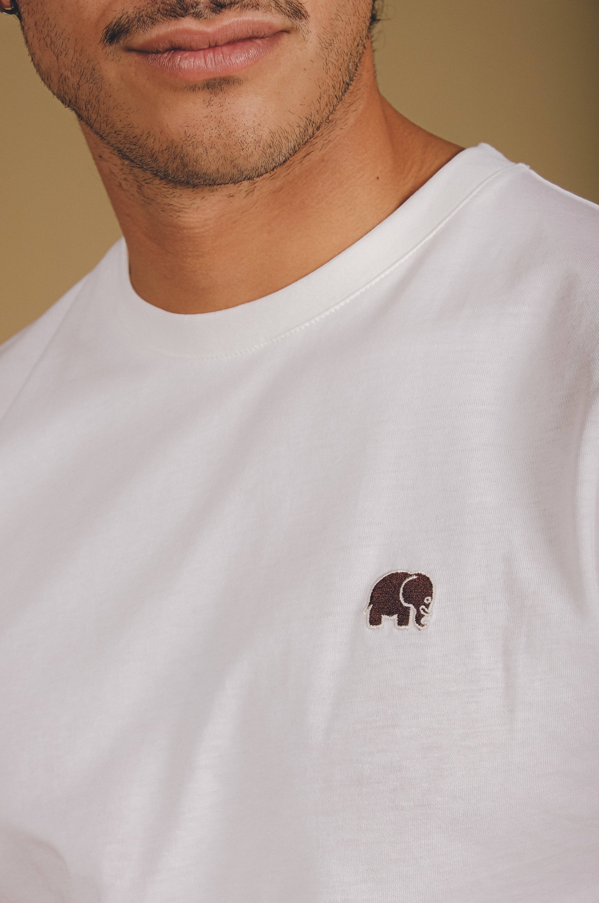 T-shirt essenziale in cotone biologico color naturale