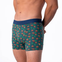 Boxer in cotone biologico con stampa orsi Kinai