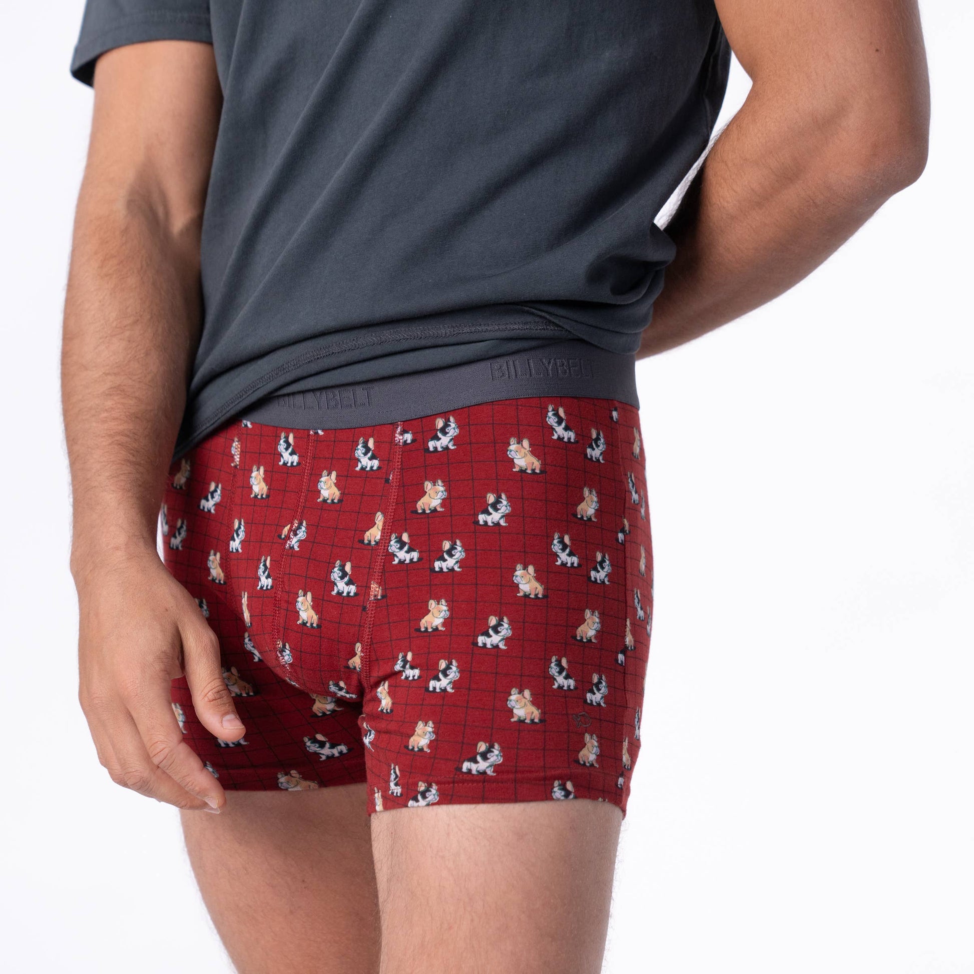 Boxer in cotone biologico Marcel con stampa cani