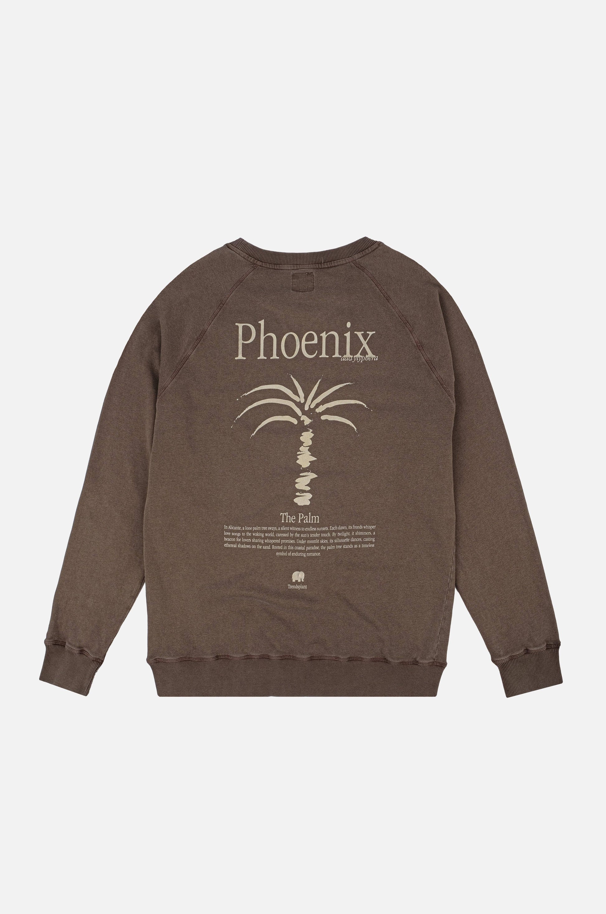 Felpa girocollo pigmentata Phoenix con stampa palma