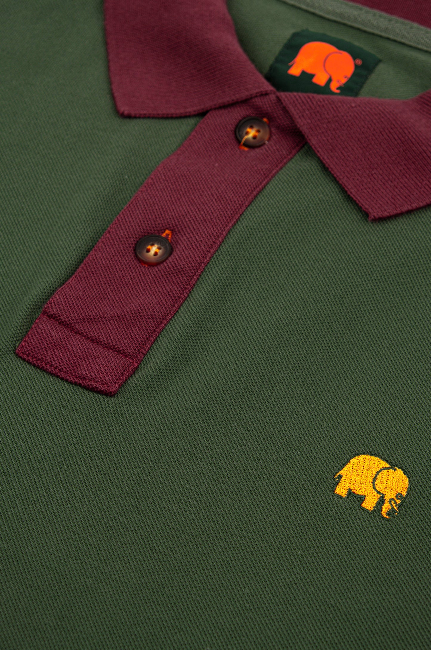 Polo color block in cotone biologico Greener Pastures