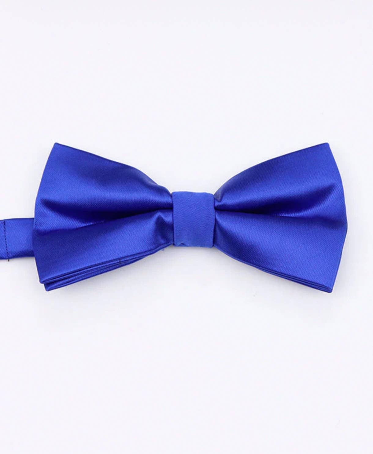 Papillon blu reale pre-annodato regolabile