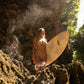 Fishboard da surf Sani Fish Humpier