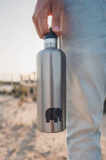 Bottiglia termica in acciaio inox Laken x Trendsplant Classic