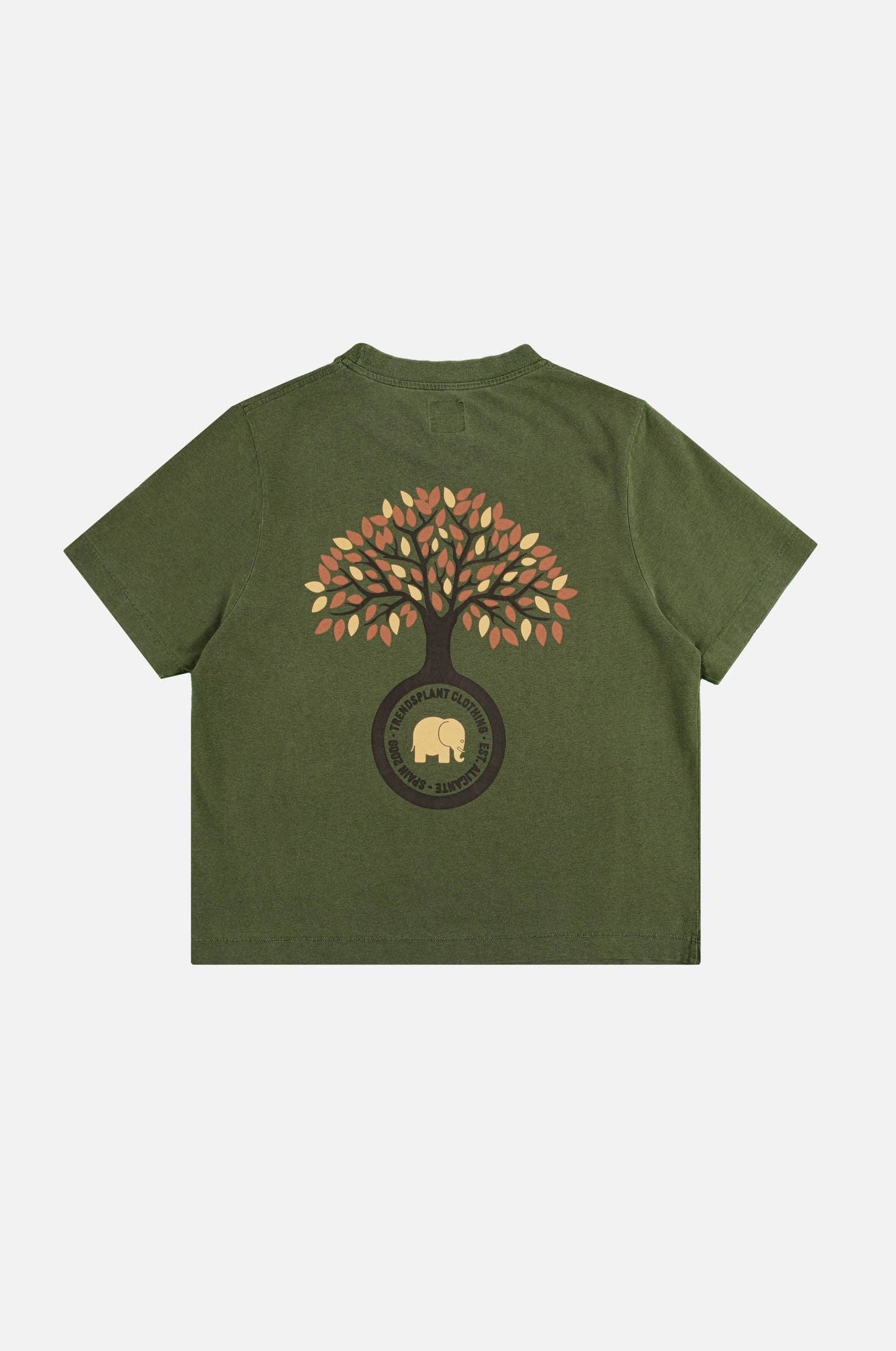 T-shirt donna pigmentata Fafe verde quercia in cotone biologico
