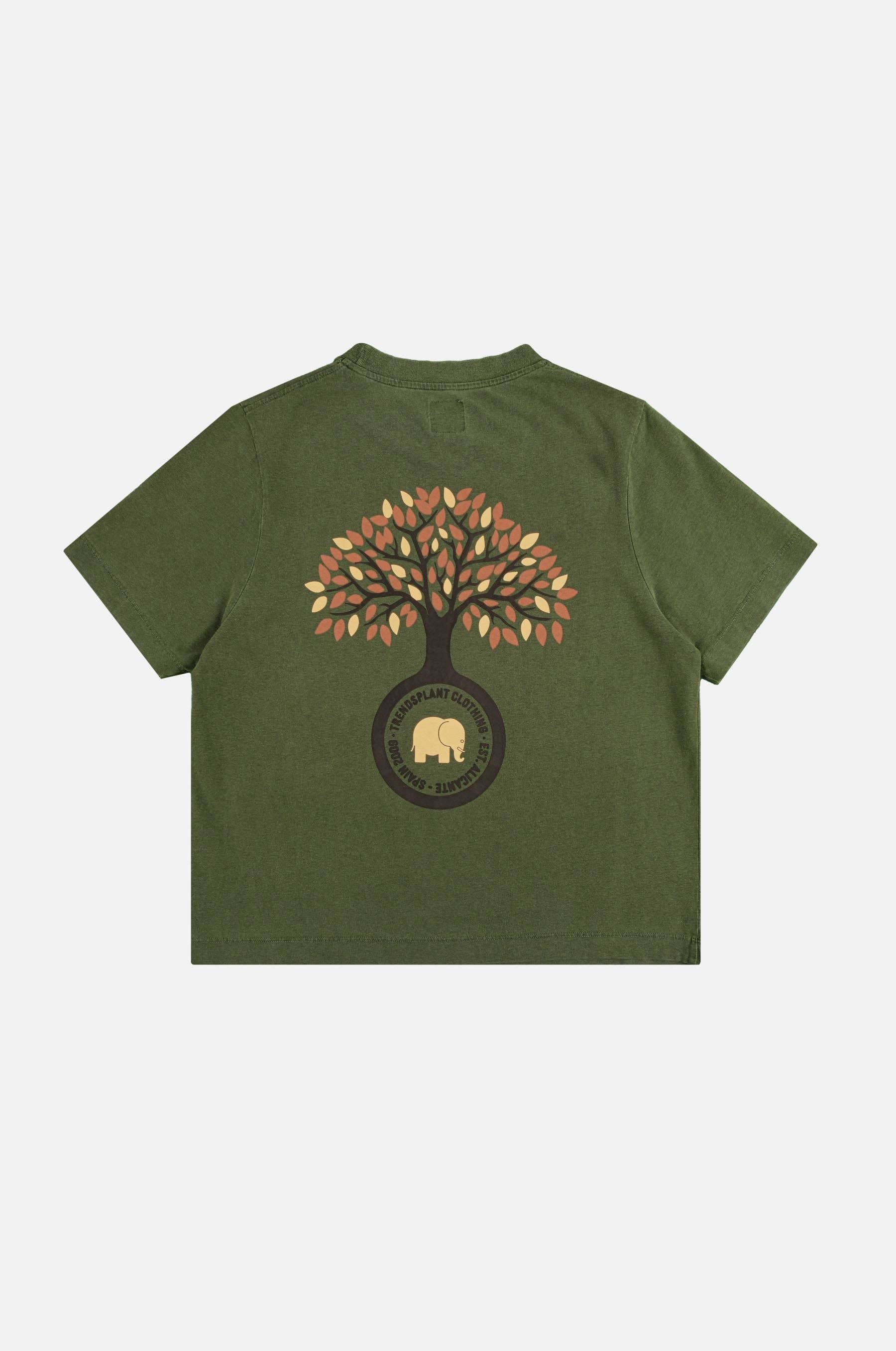 T-shirt donna pigmentata Fafe verde quercia in cotone biologico