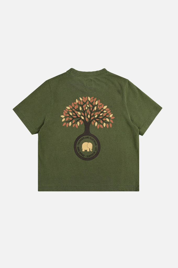 T-shirt donna pigmentata Fafe verde quercia in cotone biologico