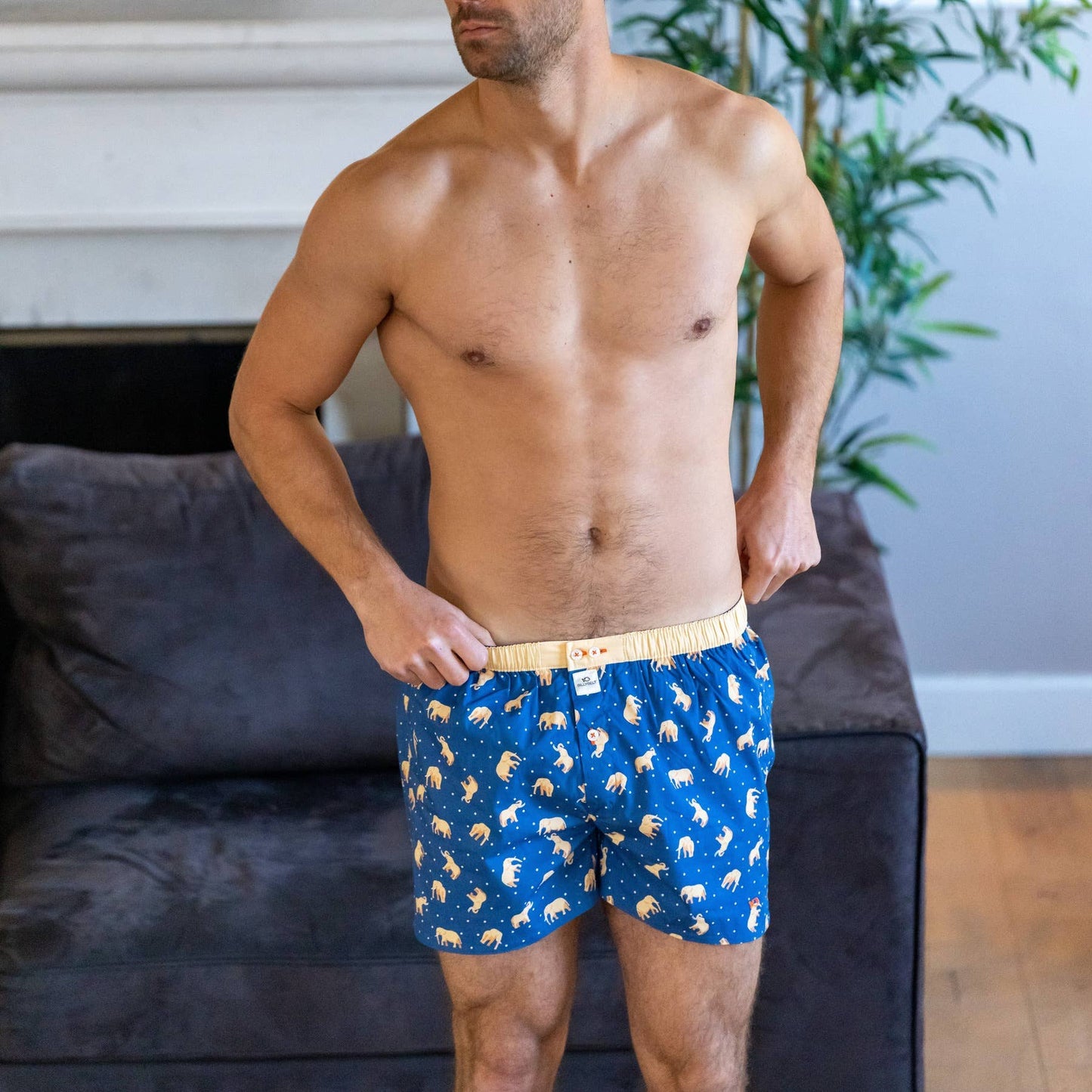 Boxer in cotone organico con stampa elefanti