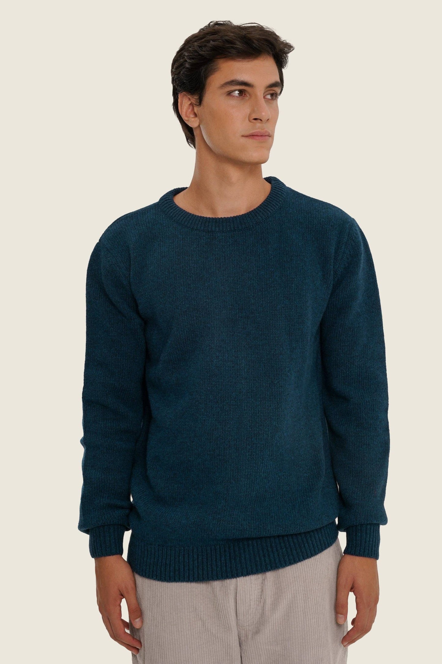Maglione in maglia blu scuro in cotone biologico