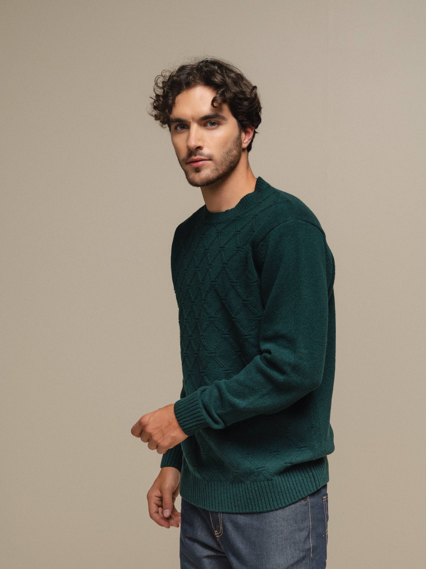 Maglione girocollo in cotone con motivo jacquard