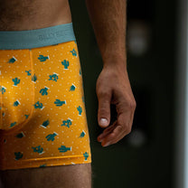 Boxer Saguaro in cotone biologico
