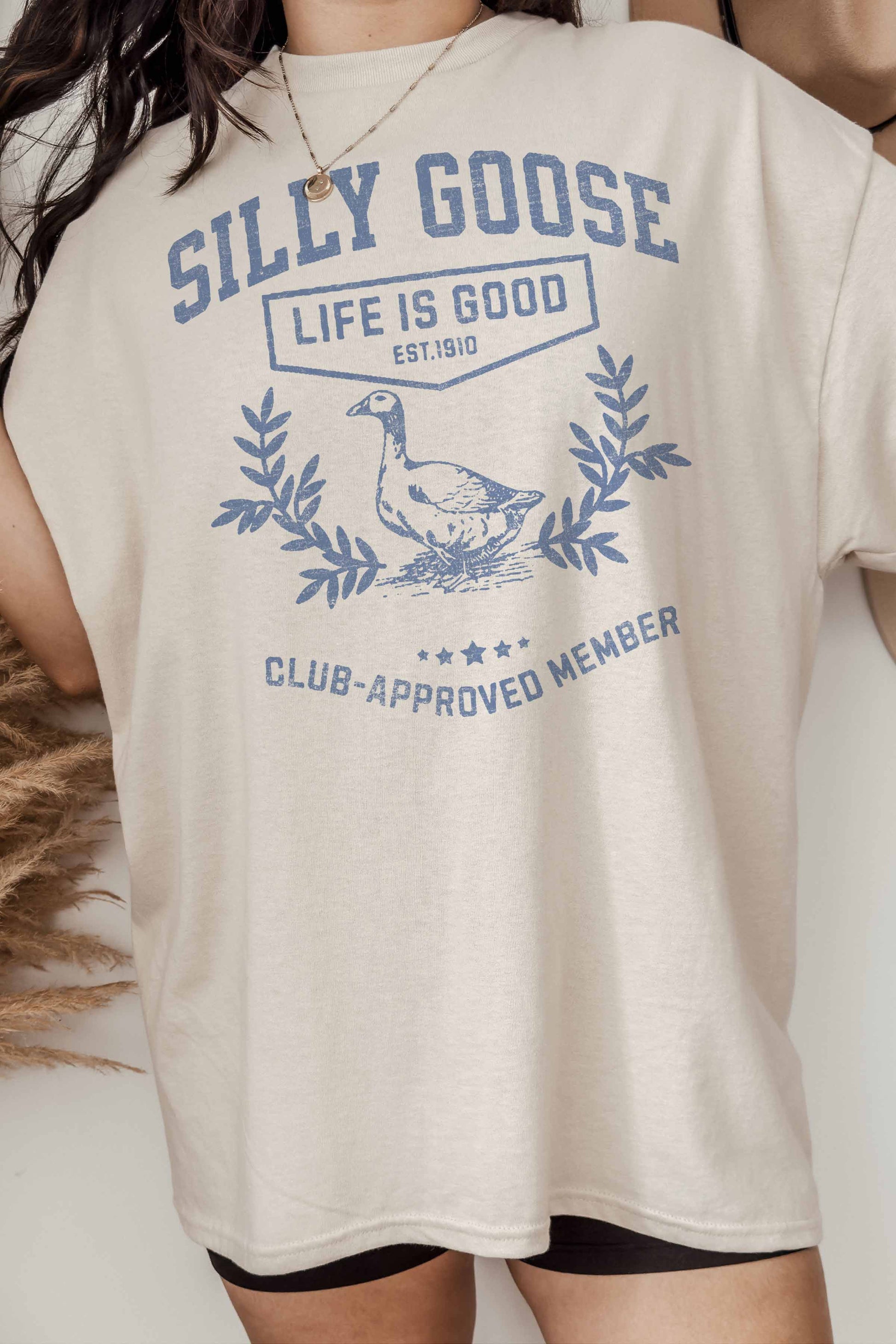 T-shirt oversize con grafica Silly Goose