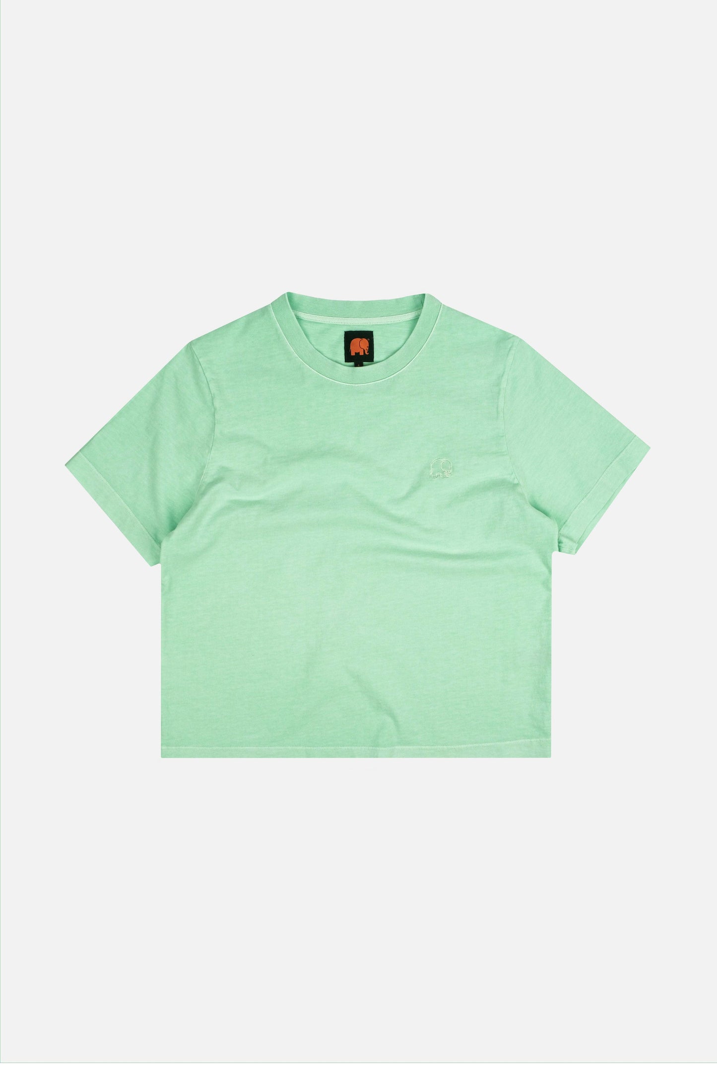 T-shirt essenziale pigmentata da donna Dusty Aqua