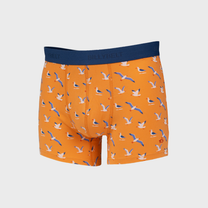 Boxer in cotone biologico con stampa gabbiani