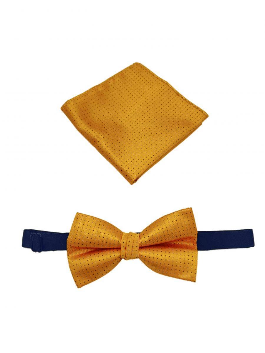 Set papillon e pochette premium