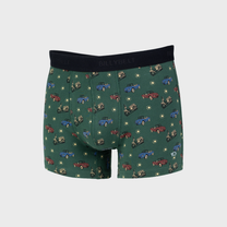 Boxer in cotone biologico Roadtrip