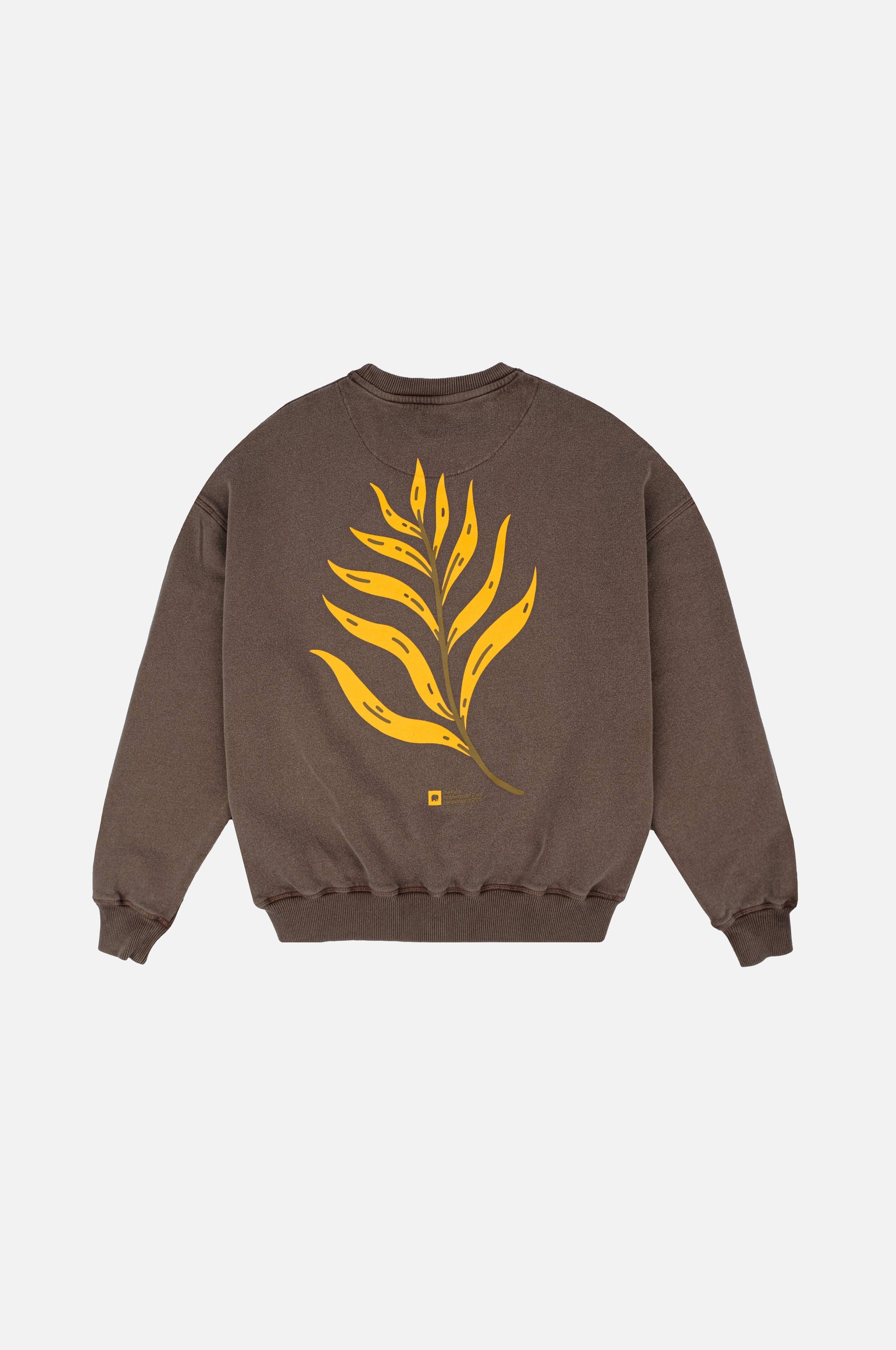 Felpa oversize in cotone biologico con stampa palma del deserto