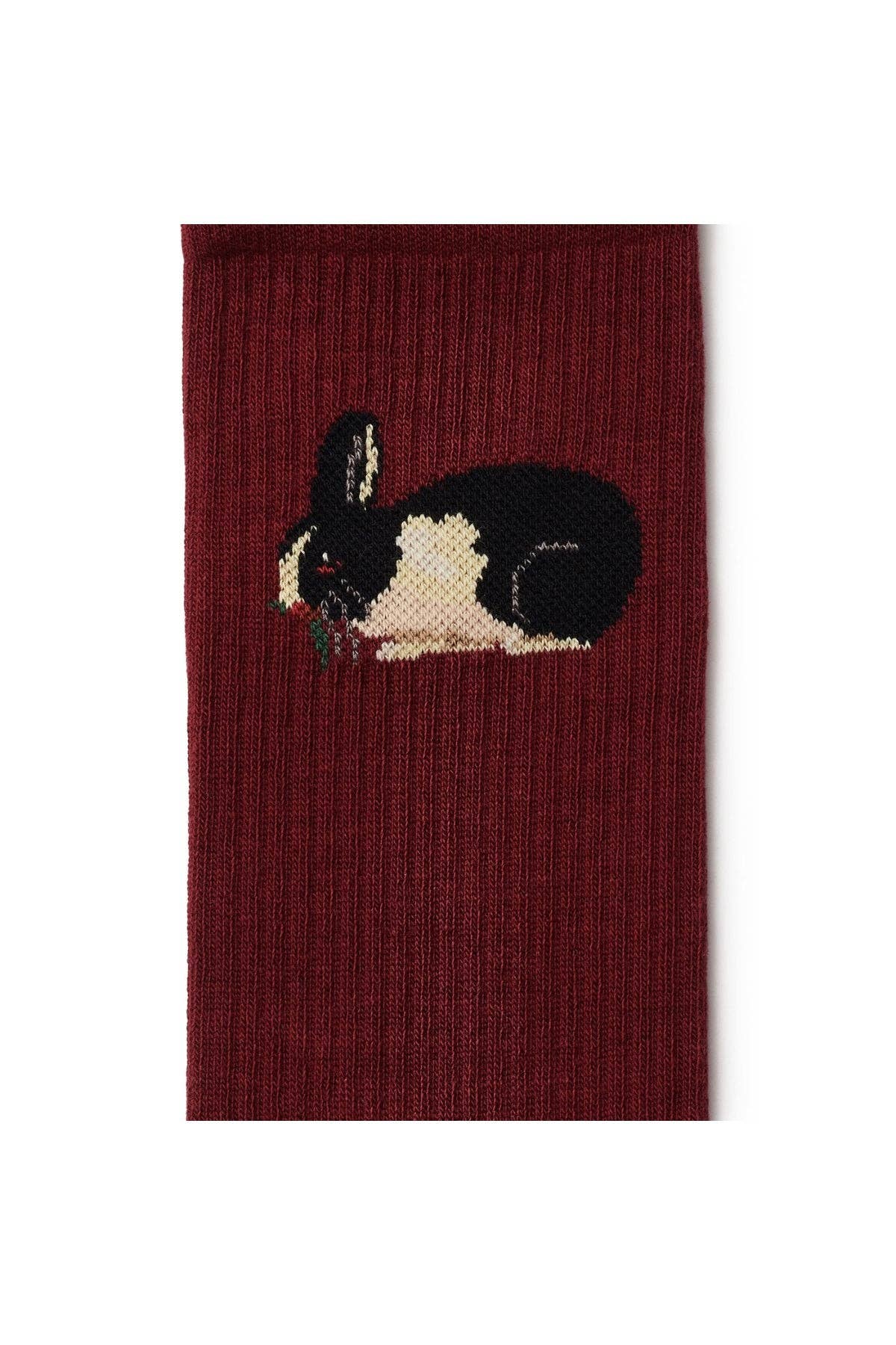 Calzini bordeaux con coniglio in cotone organico