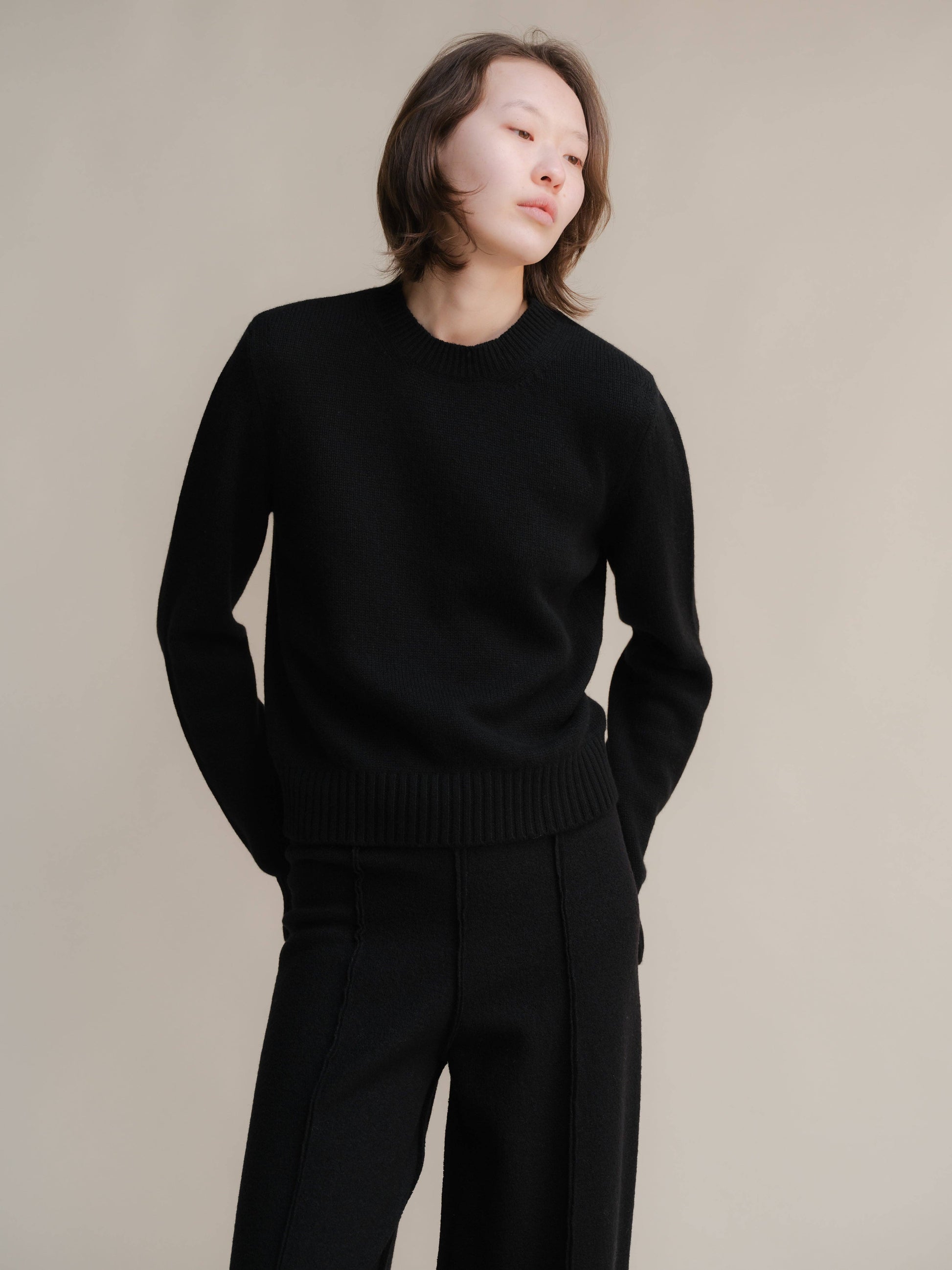 Maglione girocollo in puro cashmere