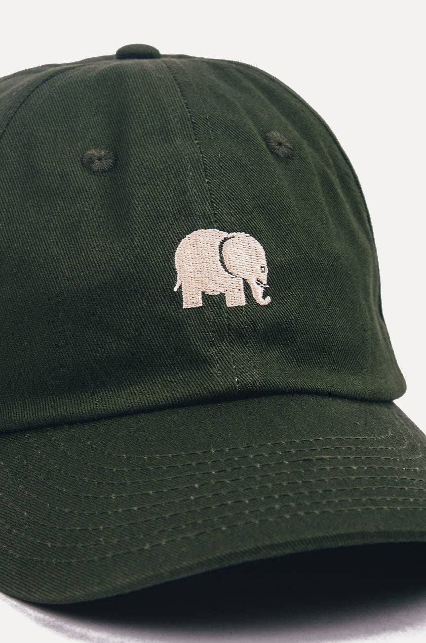 Cappello dad verde Kombu con logo ricamato
